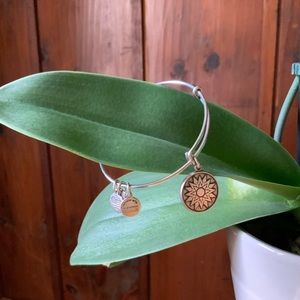 Alex & Ani Charm Bracelet